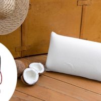 Reisekissen für einen erholsamen Urlaub